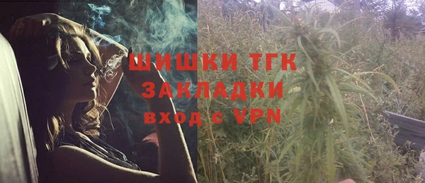 молекула духа Балахна