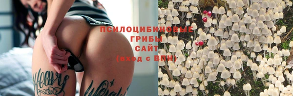 молекула духа Балахна
