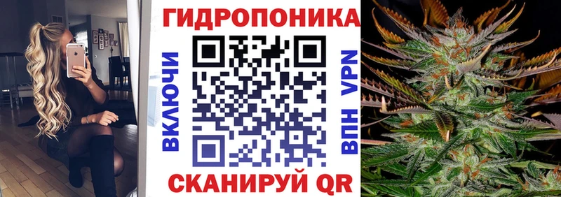 Бошки Шишки ГИДРОПОН Долгопрудный